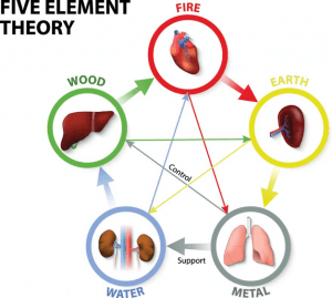 Autumn is connected to the Lungs in Traditional Chinese Medicine.