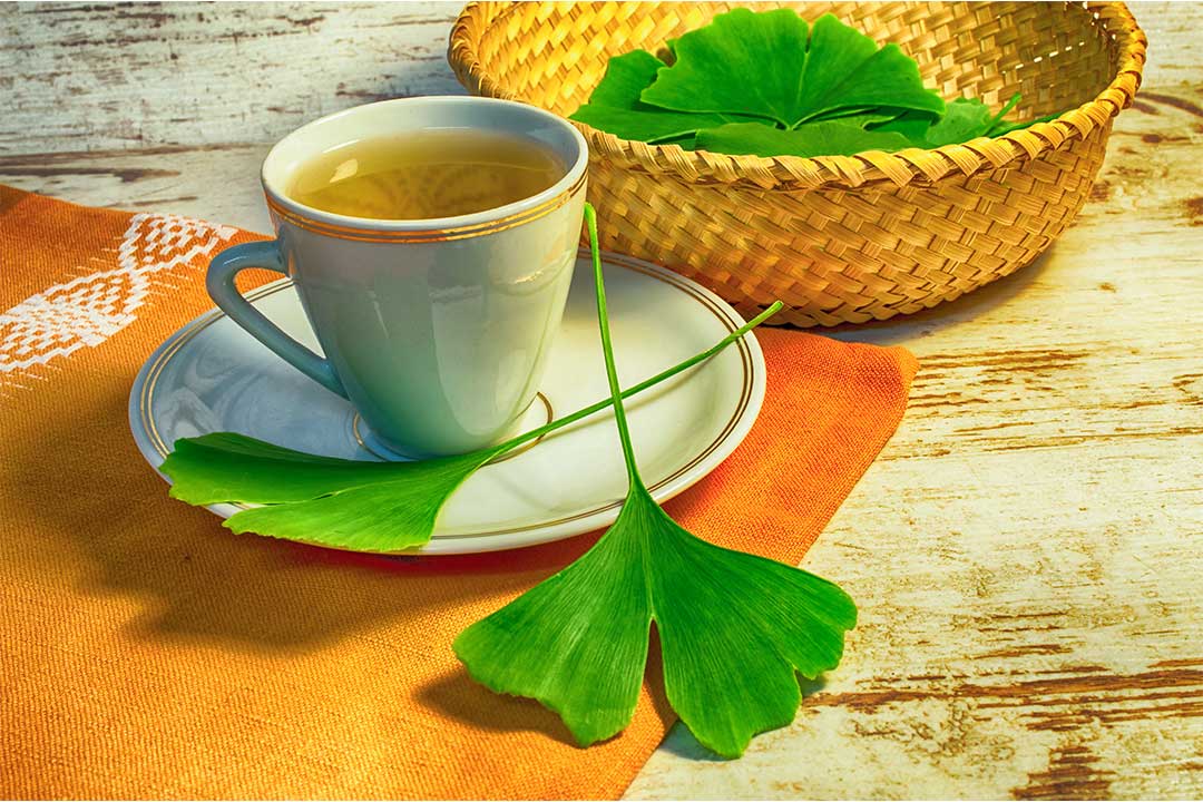 Top Benefits of Ginkgo Biloba Tea 