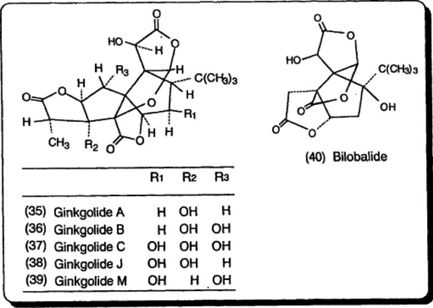 Chemistry and Biological Activities of Ginkgo Biloba. Studies in Natural Products Chemistry. K. Sasaki,K. Wada,M. Haga. Elsevier, 2003