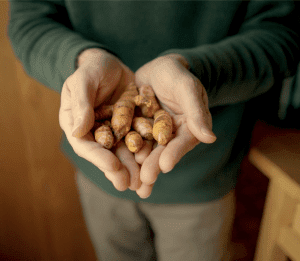 It’s thought that trade out of India started in ancient times, possibly 2,500 years ago. The trade routes reached as far as Asia Minor, in the areas now known as Iraq and Iran. It’s likely that the early Sumerian culture had access to turmeric among other precious goods from India.