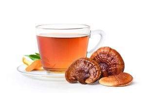 The scientific world has also shown an interest in reishi because of its unique chemical makeup consisting of phenolic compounds, antioxidants, glucans, and polysaccharides. Reishi contains every essential amino acid, along with high level of polysaturated fatty acids. It contains terpenoids, steroids, phenols, and host of other bioactive molecules.