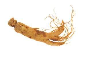 The reason for panax ginseng’s fame is no doubt due to its amazing nutritional compounds. It has a variety of bioactive nutrients, some of which have never been found in other plants. There are over 100 chemical compounds that have been found in panax.