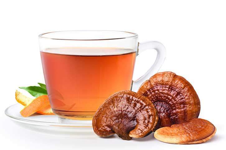 The scientific world has also shown an interest in reishi because of its unique chemical makeup consisting of phenolic compounds, antioxidants, glucans, and polysaccharides. Reishi contains every essential amino acid, along with high level of polysaturated fatty acids. It contains terpenoids, steroids, phenols, and host of other bioactive molecules.