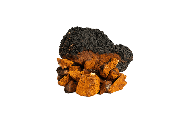 The Chaga mushroom has been used for centuries as an herbal tea remedy in Asia, Europe, and North America. Our Chaga mushrooms grow wild on the bark of mature birch trees in Siberia’s cold climate. Warm up your morning with a cup of Chaga.
