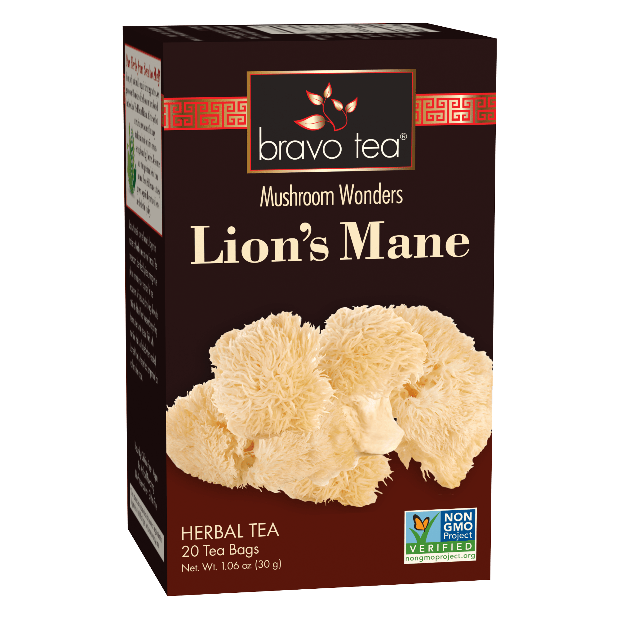 Lion’s Mane Mushroom Tea