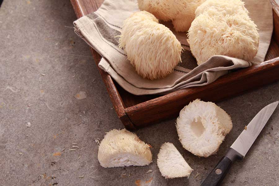 A tray of Lion's mane mushrooms and one mushroom sliced. Lion's mane mushrooms are a treasured health ingredient from ancient folklore to the latest in chemical research.